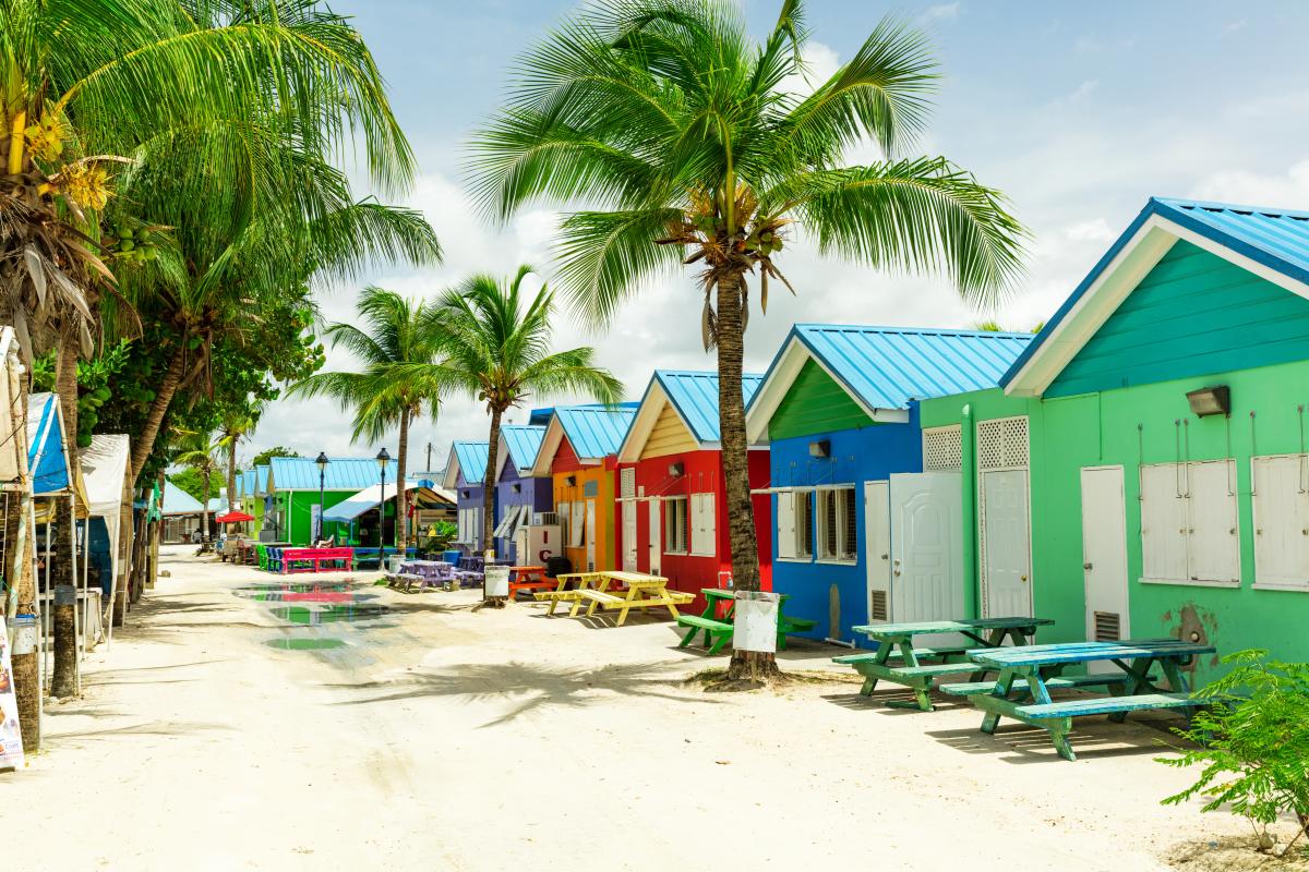 A row of brightly colored buildings with blue roofs and white picket fences line a sandy street. Tall palm trees sway in the breeze.