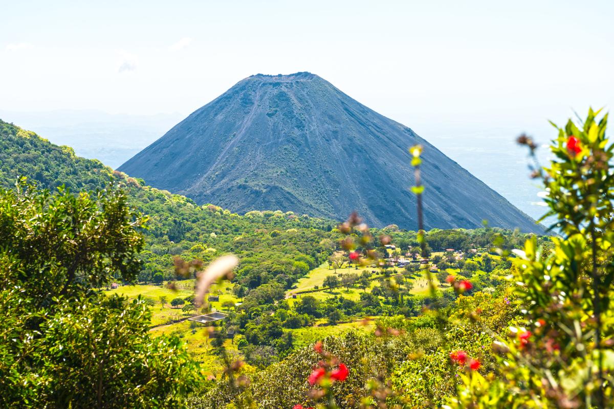 A scenic view of a volcanic landscape. A large, cone-shaped volcano dominates the center of the image,surrounded by lush green vegetation and colorful flowers.