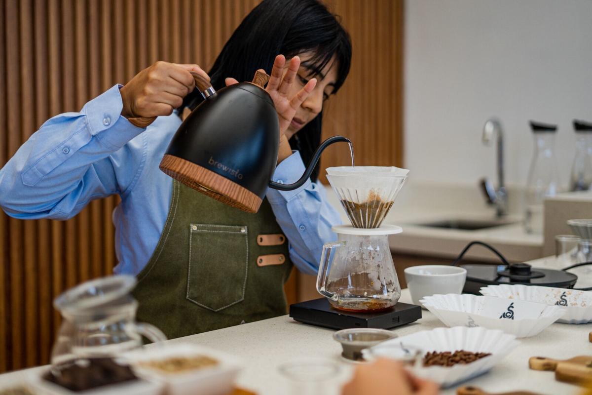 Preparação de café especial com método filtrado em Tierras Altas, Panamá