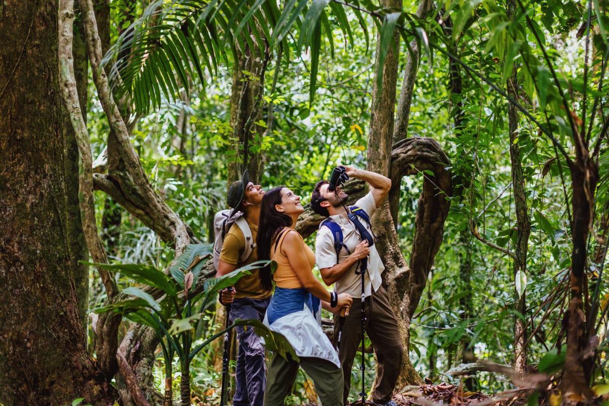 Birdwatching at Barro Colorado, Panama City, Panamá