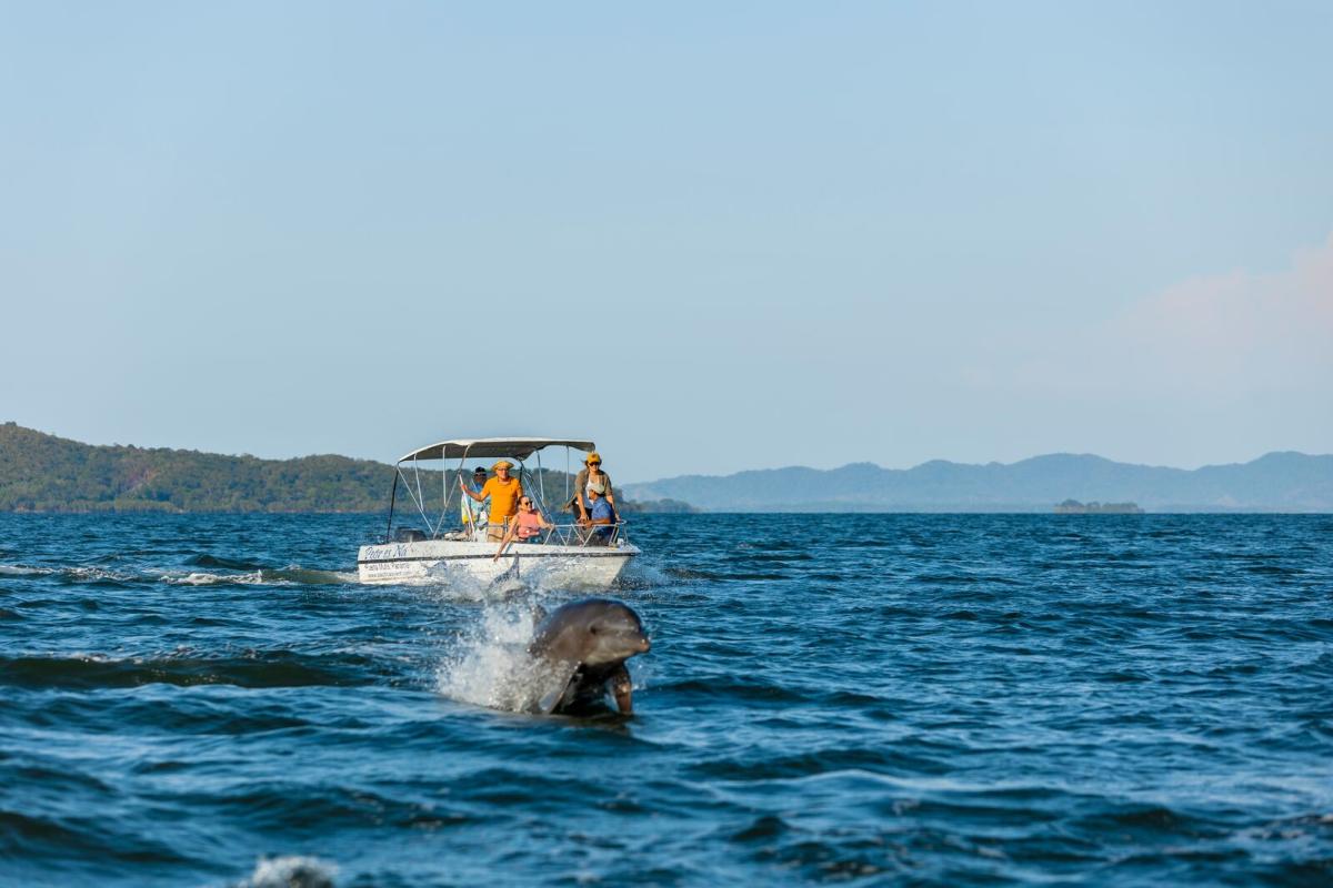 Turistas disfrutando en lancha cerca de delfines en el golfo de Montijo