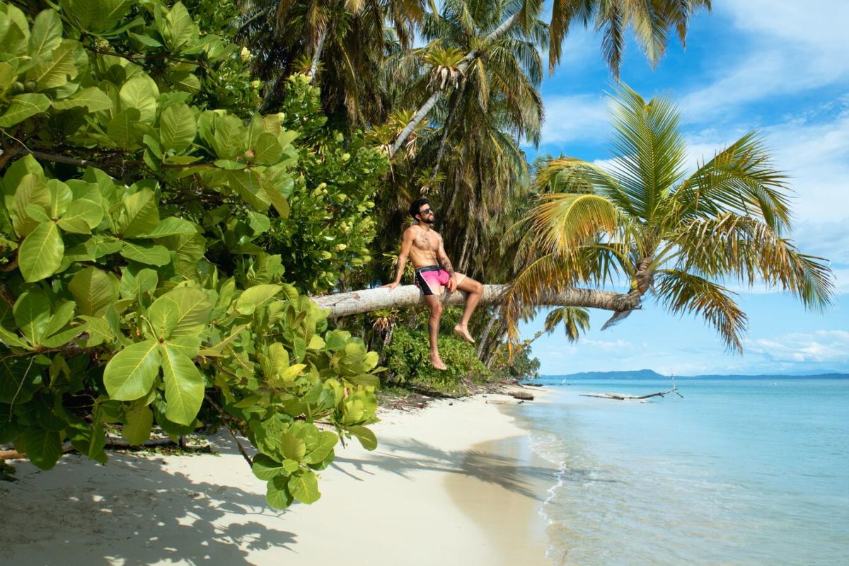 Man sitting on a palm tree over a paradise beach in Bocas del Toro