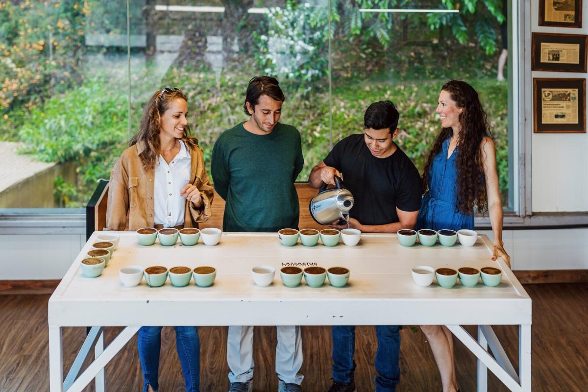 Coffee tour experience at Lamastus, Boquete, Chiriqui province, Panamá