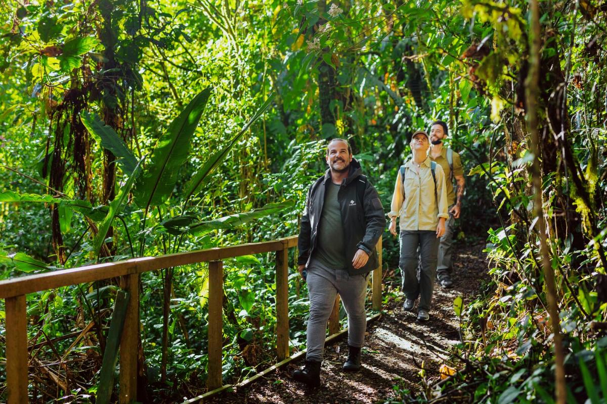 Hiking at La Amistad International Park, Cerro Punta, Chiriqui Province, Panamá