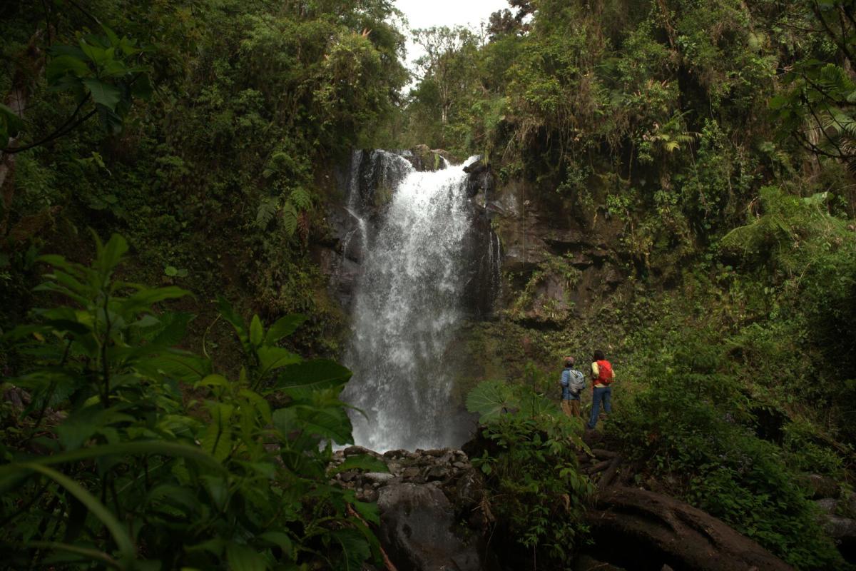Lost Waterfalls, Boquete, Chiriquí province