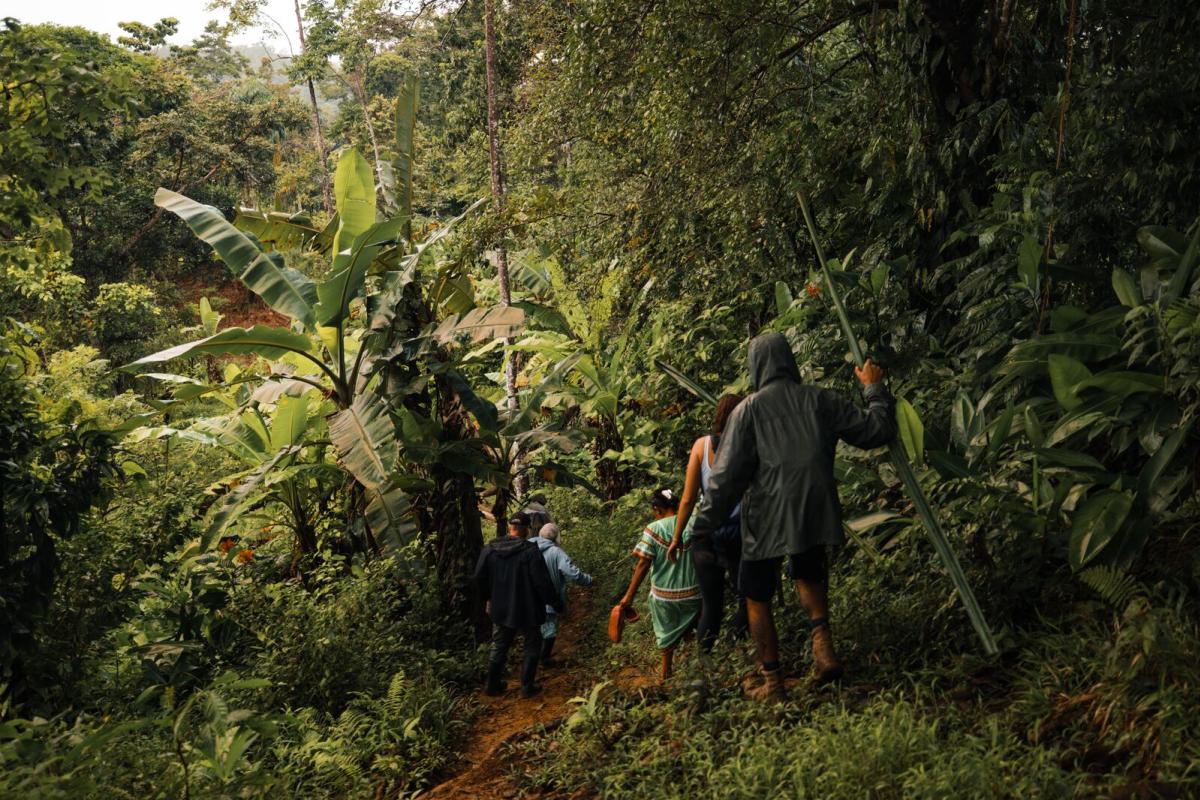 Senderistas recorriendo los alrededores de la comunidad Ngäbe-Buglé, provincial de Bocas del Toro