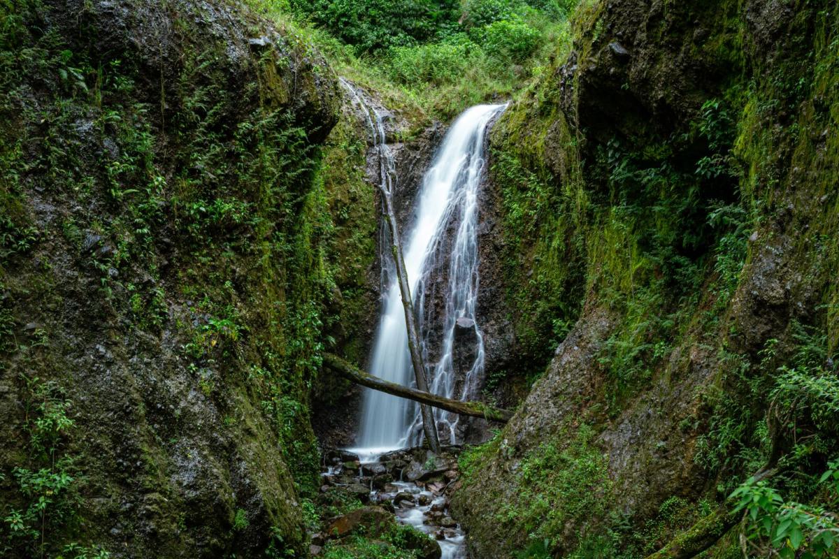 Waterfall in the middle of the cloud forest at La Amistad International Park