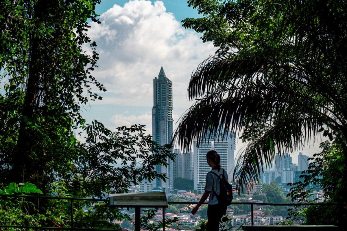 Viajera observando el skyline de Ciudad de Panamá desde un mirador natural.