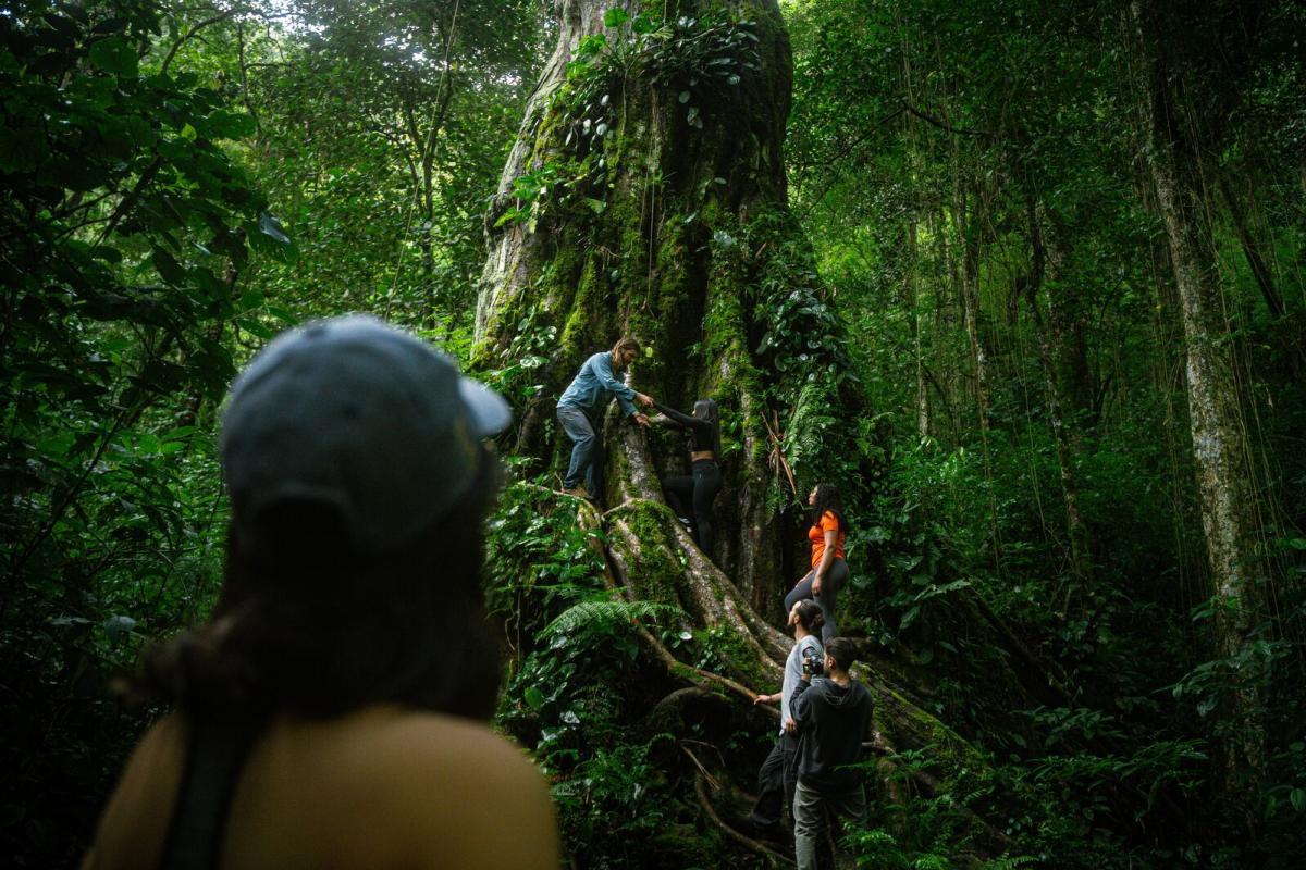 Pipe Line Trail , Bajo Mono, Boquete, Chiriquí Province