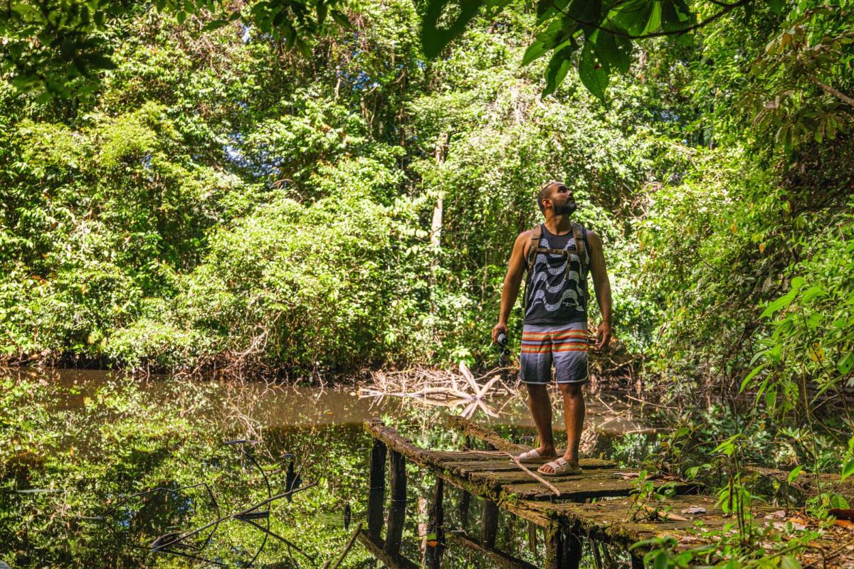 Tourist exploring a boardwalk trail through the rainforest of Bastimentos Island, Bocas del Toro.