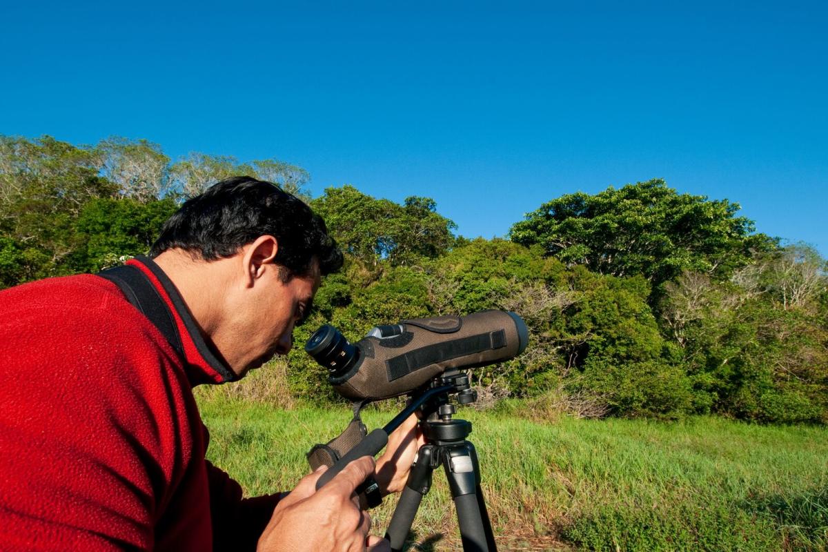 Birdwatcher using a spotting scope at La Amistad International Park