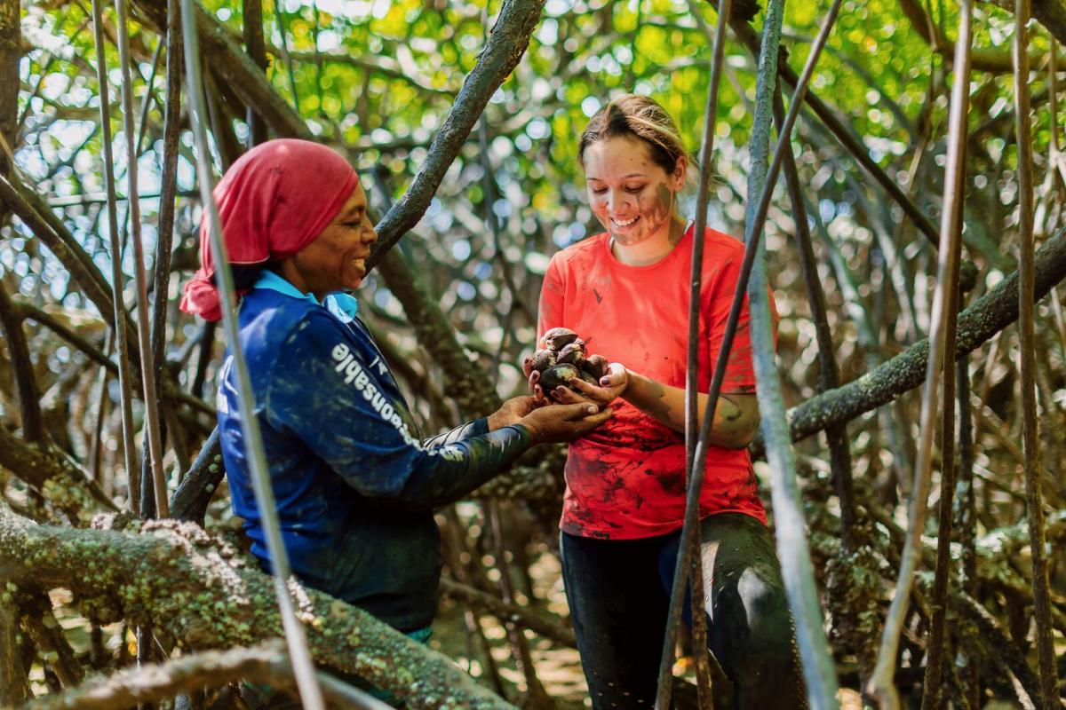 Shell picking at Isla Leones. Gulf of Montijo, Veraguas province, Panamá