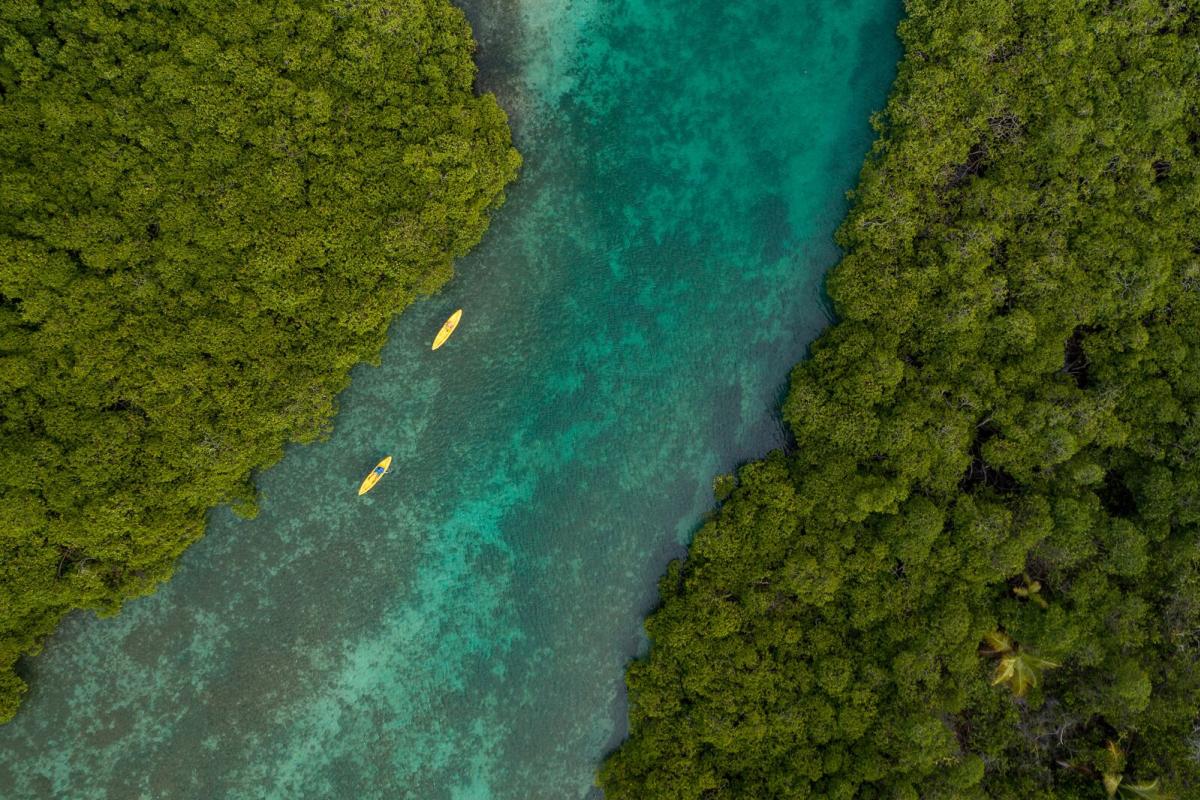 Top aerial view of two kayaks rowing in Venas Azules channels