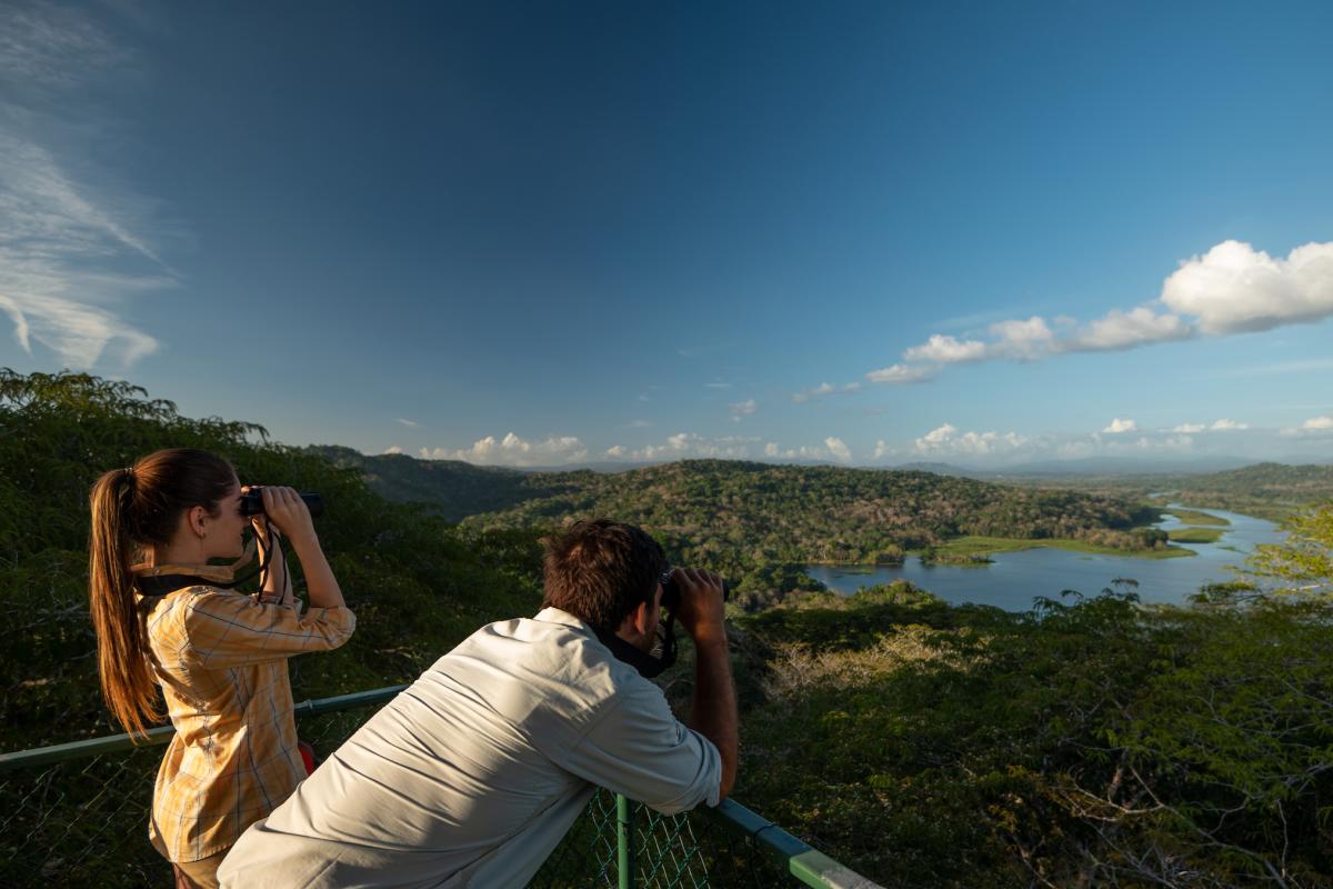 Tour operator at Birdwatching tower in Gamboa Rainforest Reserve, Panama City