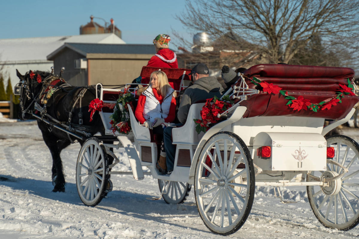 Holiday Horse carriage ride at Farm