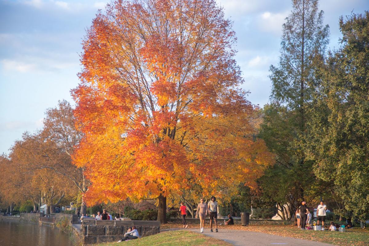 Park goers walking thru fall foliage at Fairmount Park