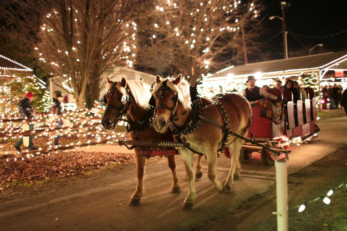 Horse Carriage ride thru holiday lights on main street
