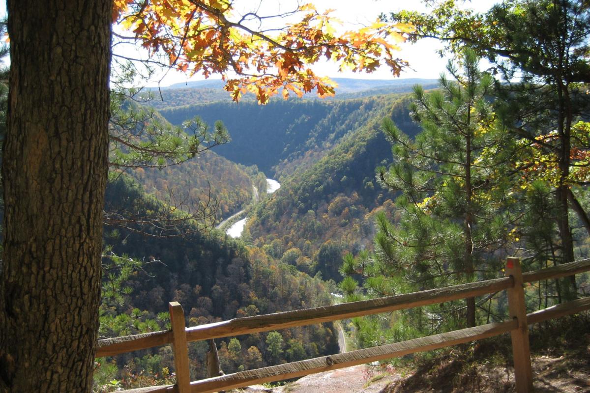 Pine Creek Gorge Overlook