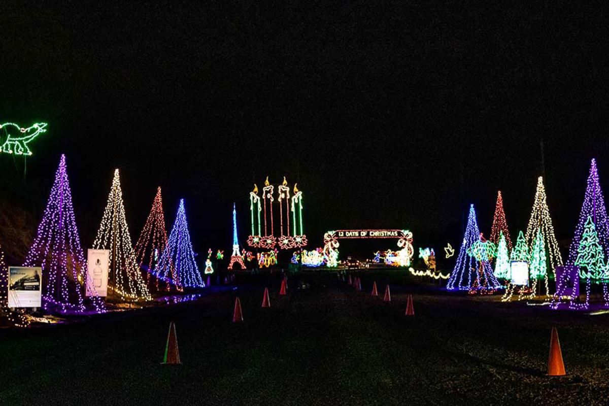 Holiday Lights on Farm