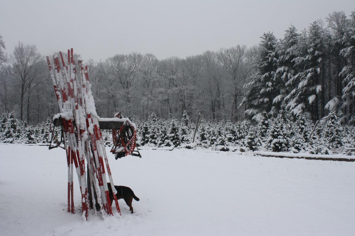 Tuckamony Farm covered in snow