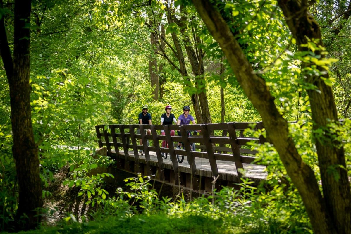 patrons biking over a bridge thru woods