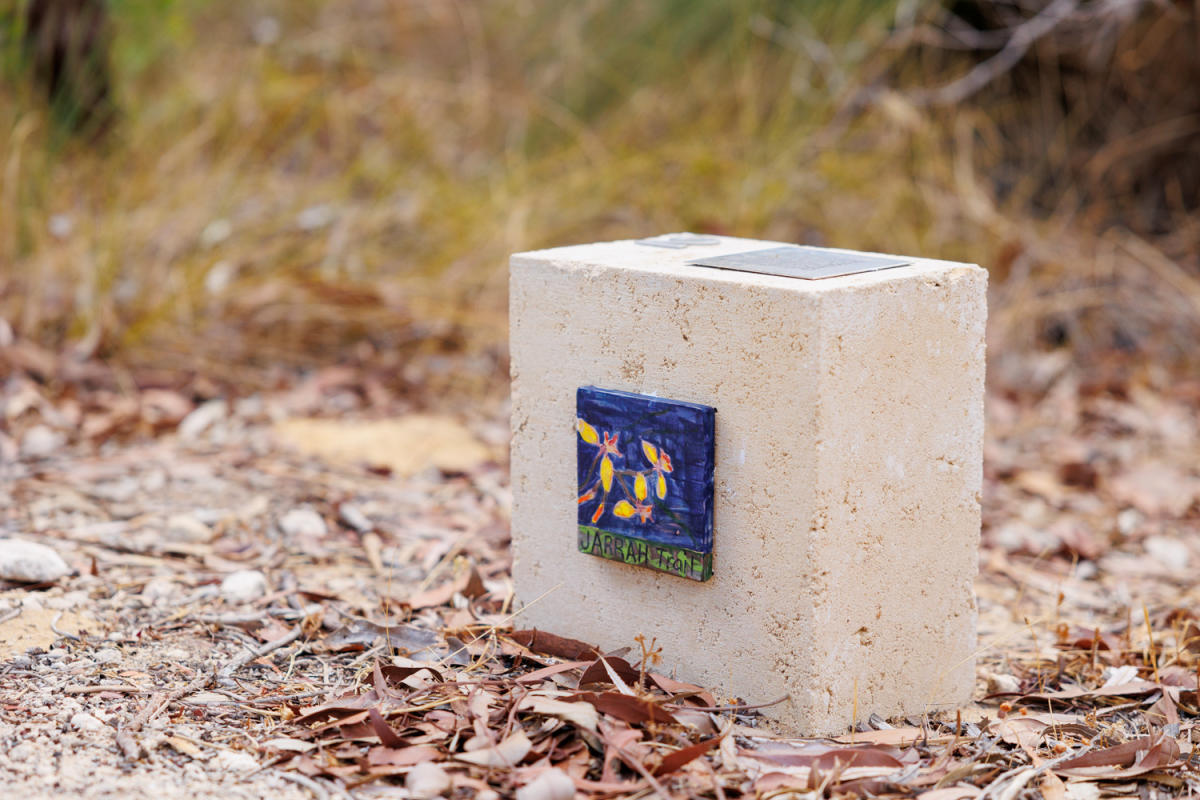 Warwick Bushland