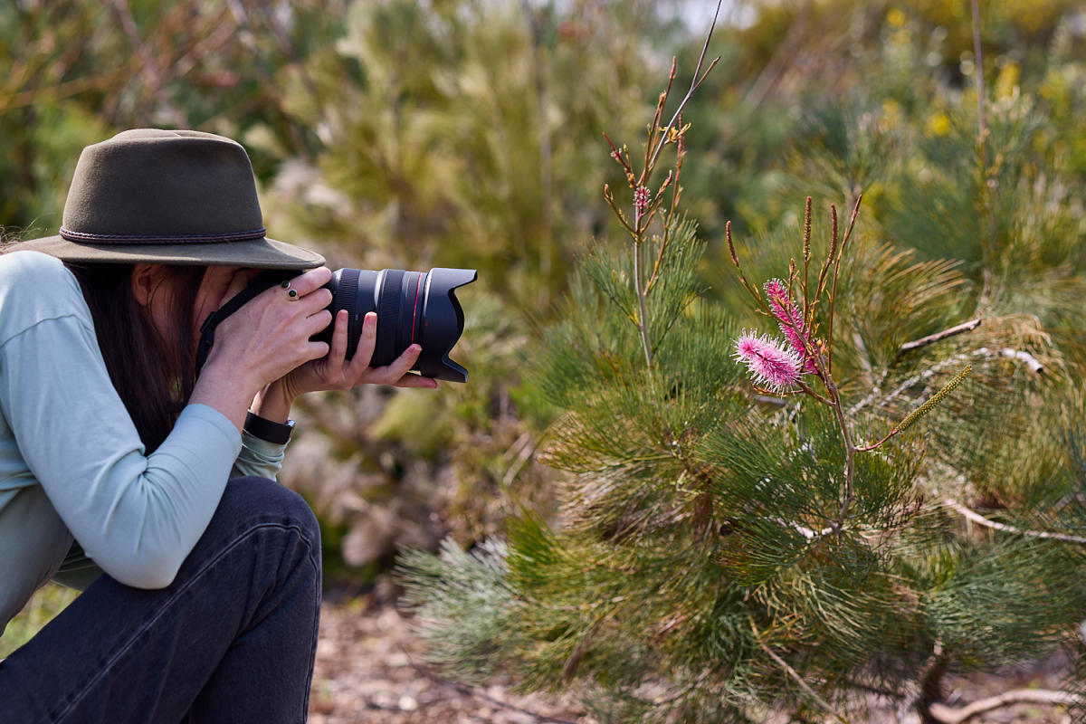 Woman taking photos of wildflowers in the Avon Valley