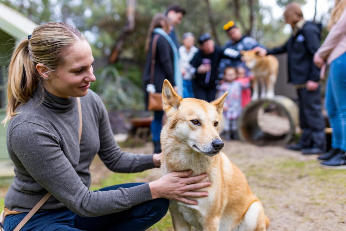 WA Wildlife Adventures