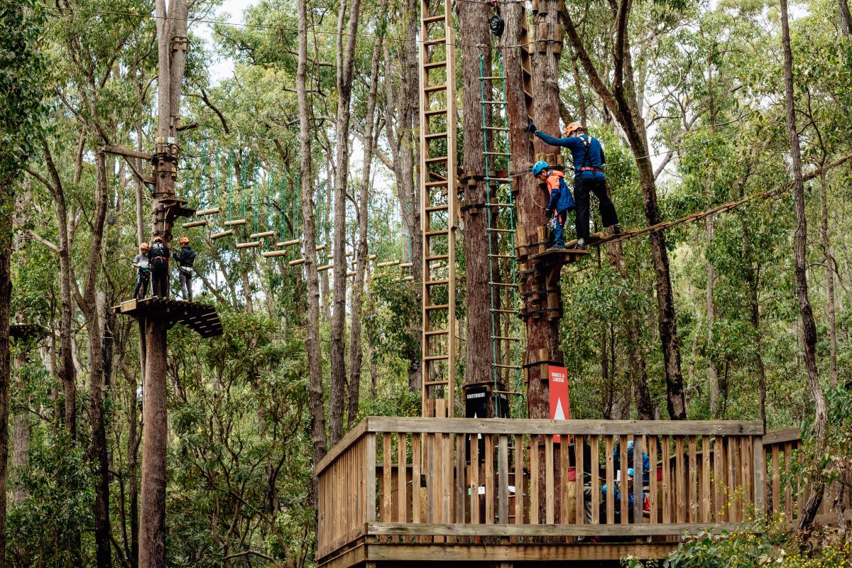 Explore a family day trip to Dwellingup