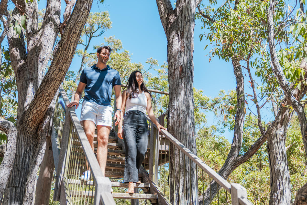 Dwellingup Forest Discovery Centre