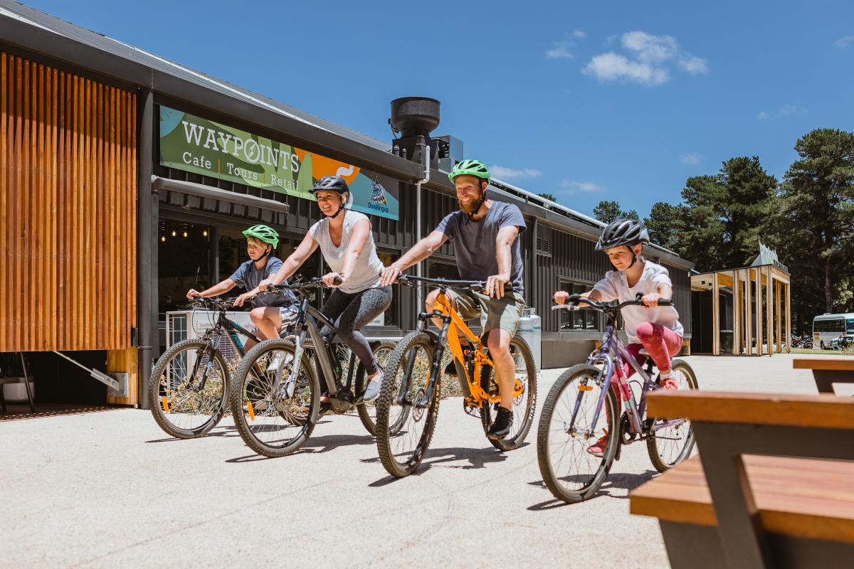 Dwellingup Mountain Biking