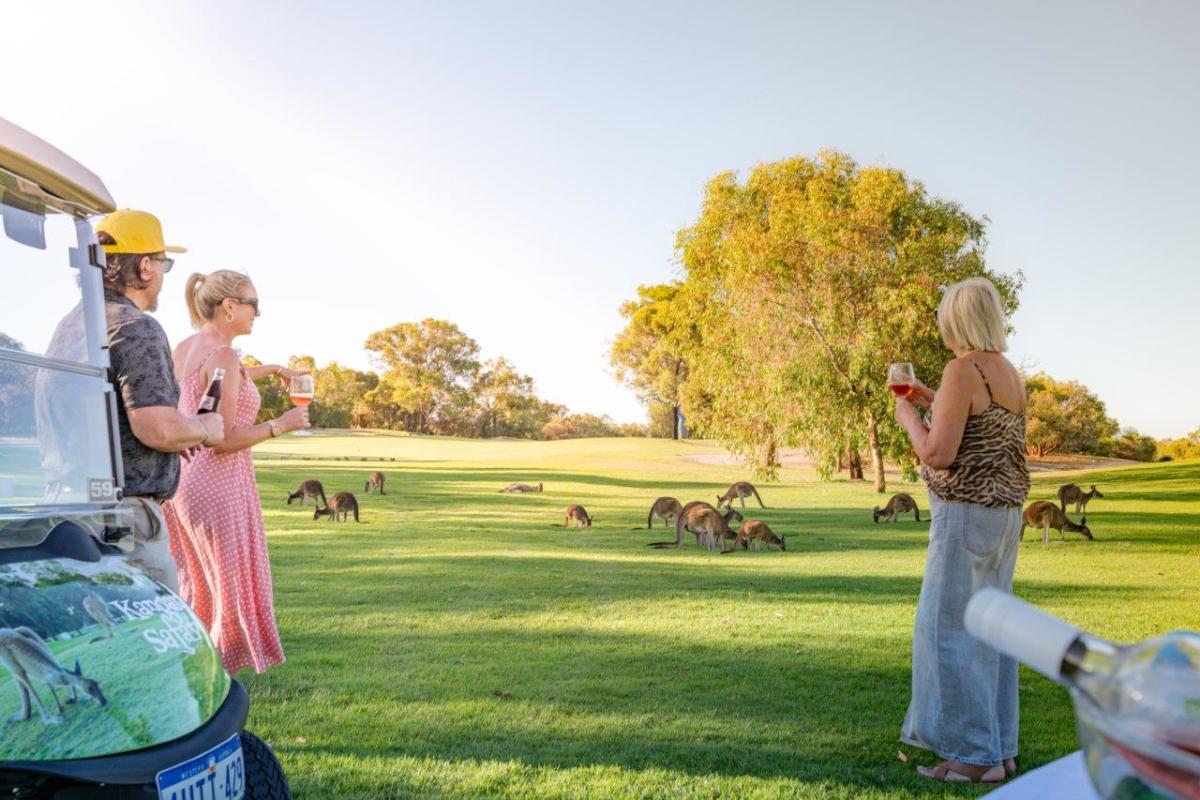 Kangaroo Safari at The Vines Resort
