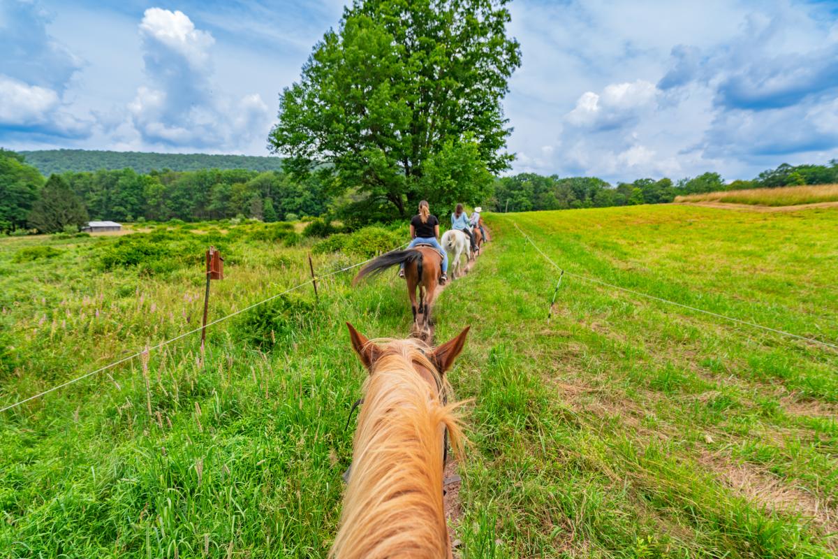 A group riding on horseback.