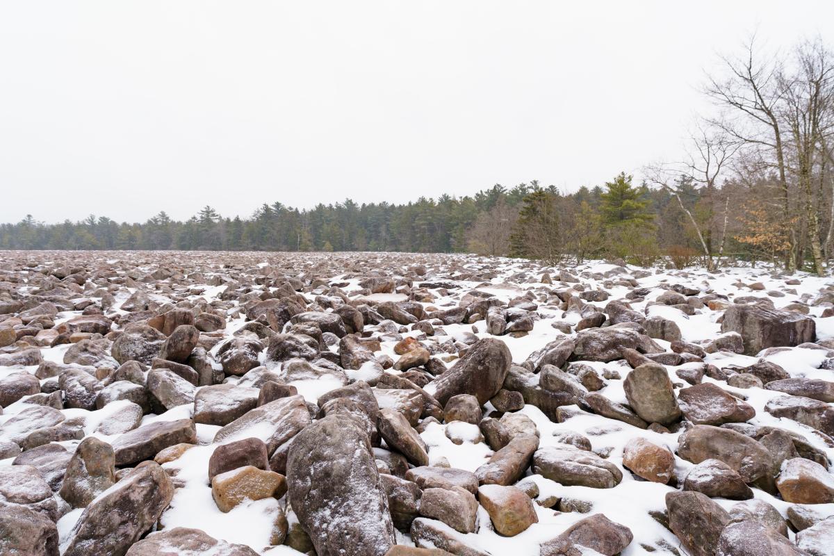 Boulder Field