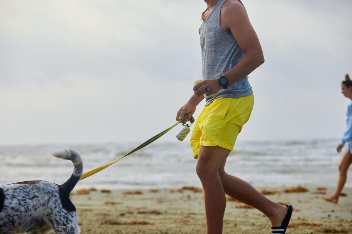 dog-beach-walk-run