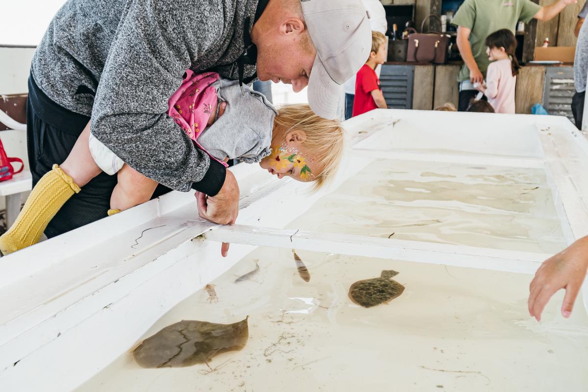Touch Tank Mustang Island Boat Tour