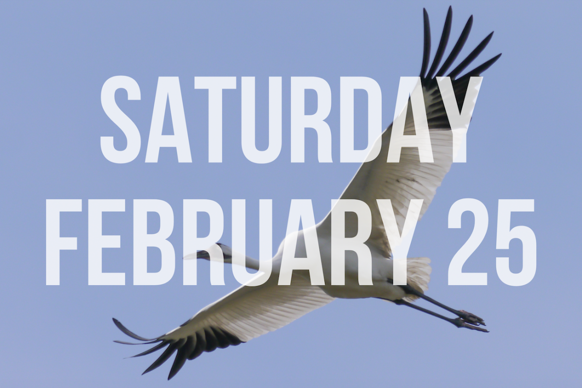 White text over a whooping crane photo reads "Saturday February 26"