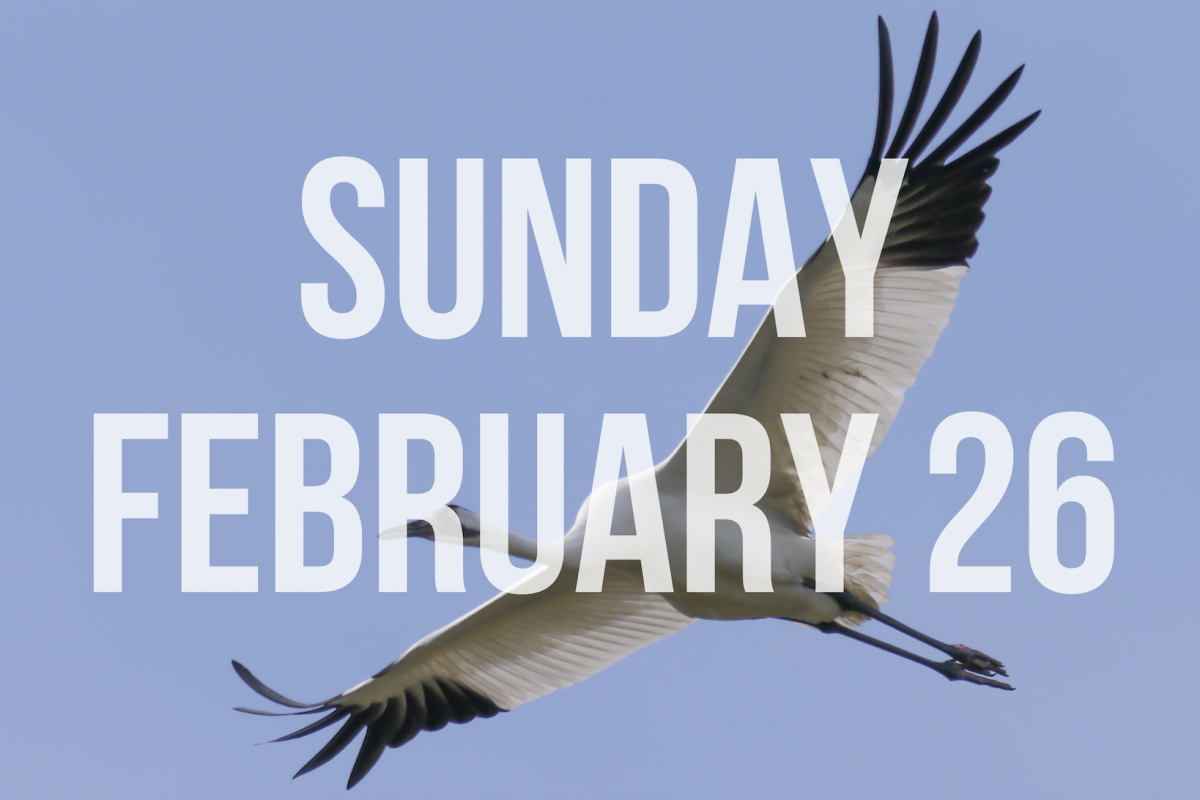 White text on a Whooping Crane background reads "Sunday February 27"