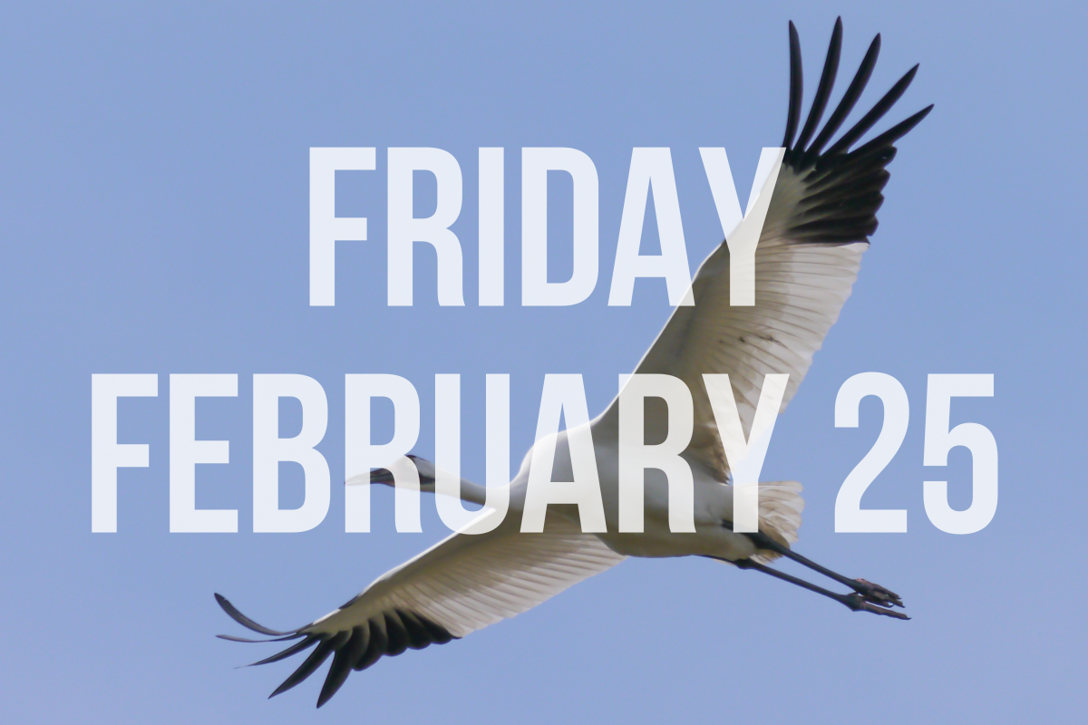 White text over a Whooping Crane photo reads "Friday February 25"