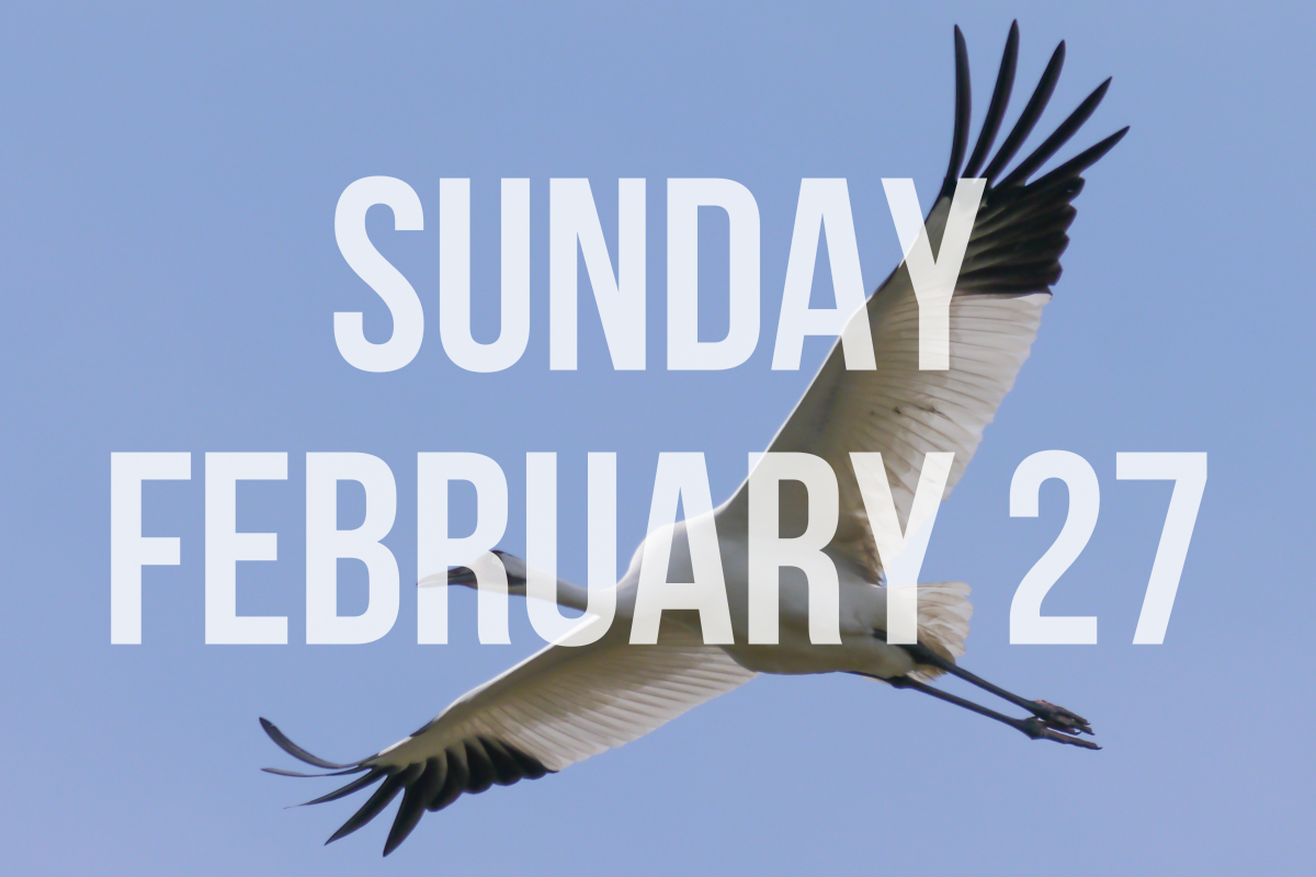 White text on a Whooping Crane background reads "Sunday February 27"