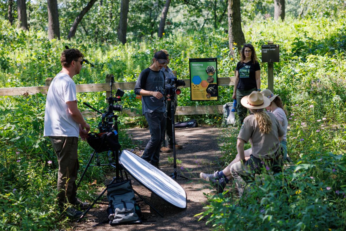 A small film crew is set up on a dirt path in a lush, green forest, surrounded by tall plants and wildflowers. A camera operator adjusts a stabilizer-mounted camera while another crew member stands nearby with additional equipment, including a boom microphone and a reflector on the ground. Two people, one in a park ranger uniform and another in a straw hat, sit on a bench engaged in conversation. A woman wearing a black "Cowles Bog" t-shirt stands near an informational sign about nesting wildlife, with another sign indicating the "Douglas Center" nearby. Sunlight filters through the trees, casting dappled shadows on the ground.