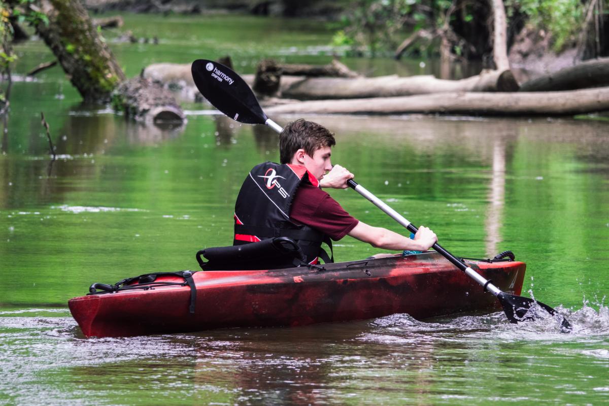 A young kayaker in a red and black boat paddles through a peaceful river, creating ripples in the water. The lush green surroundings and floating logs add to the wilderness atmosphere. His intense focus suggests determination and adventure.