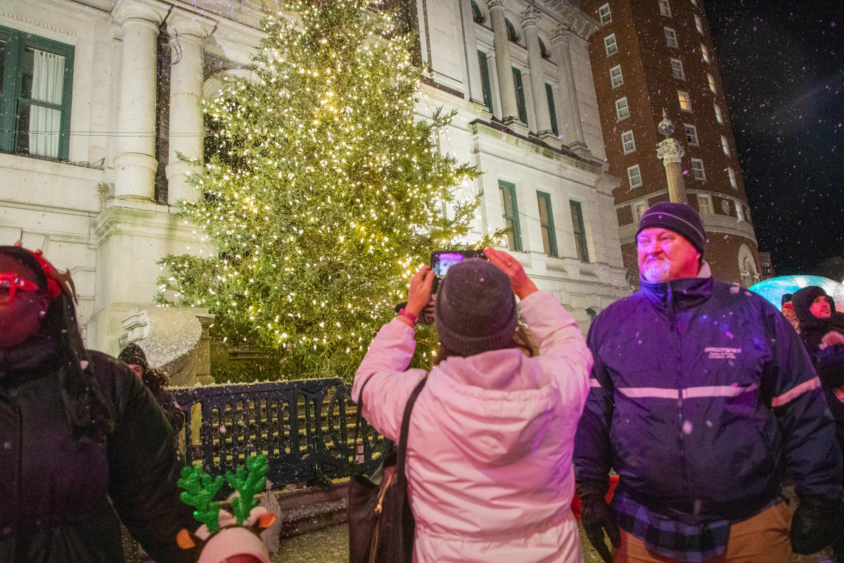 City hall tree lighting