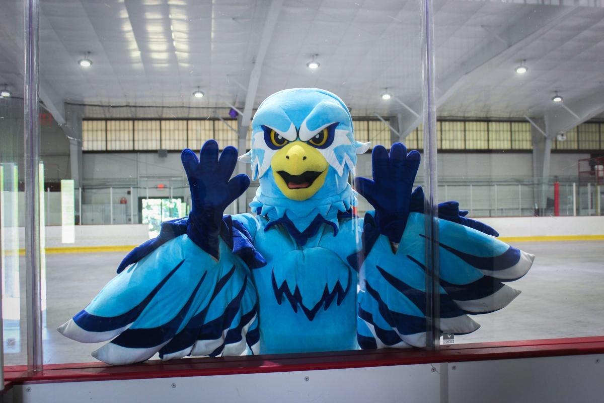Roger Williams University Hawk