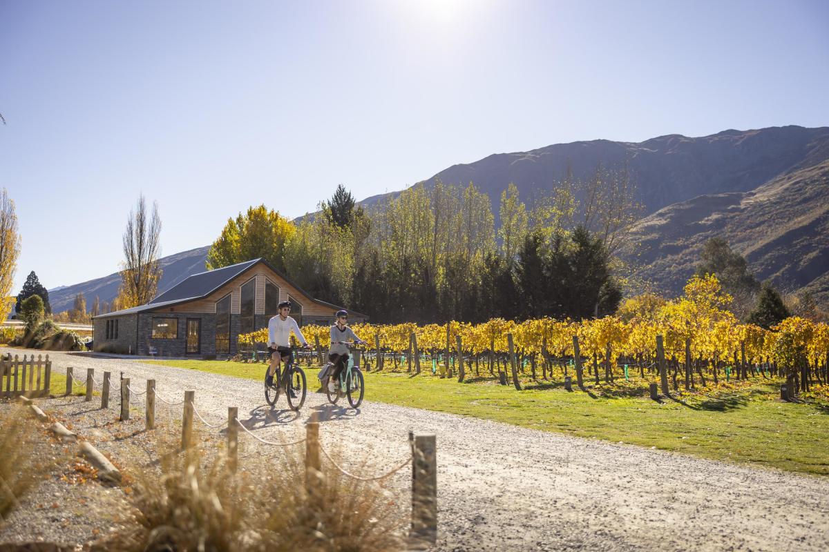 Two people biking next to vines in Gibbston