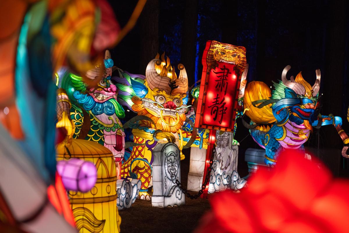 Chinese Lantern Festival 2024