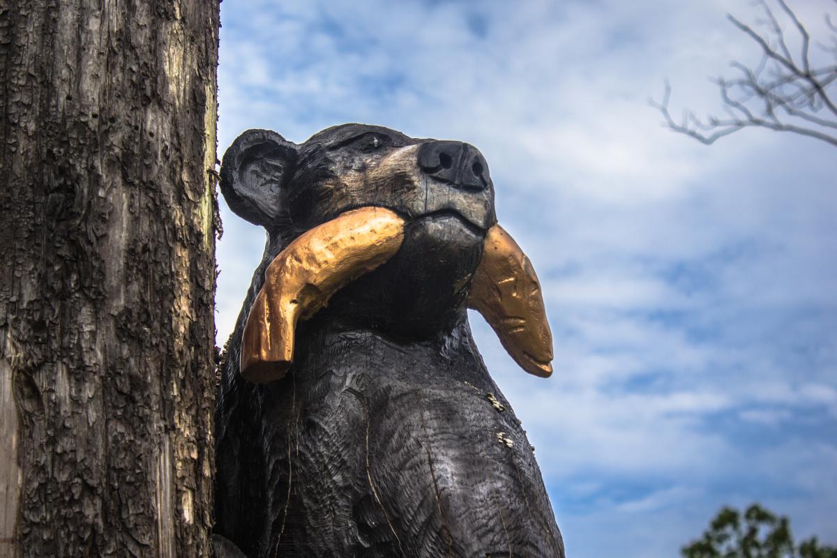 Three Bears Acres
