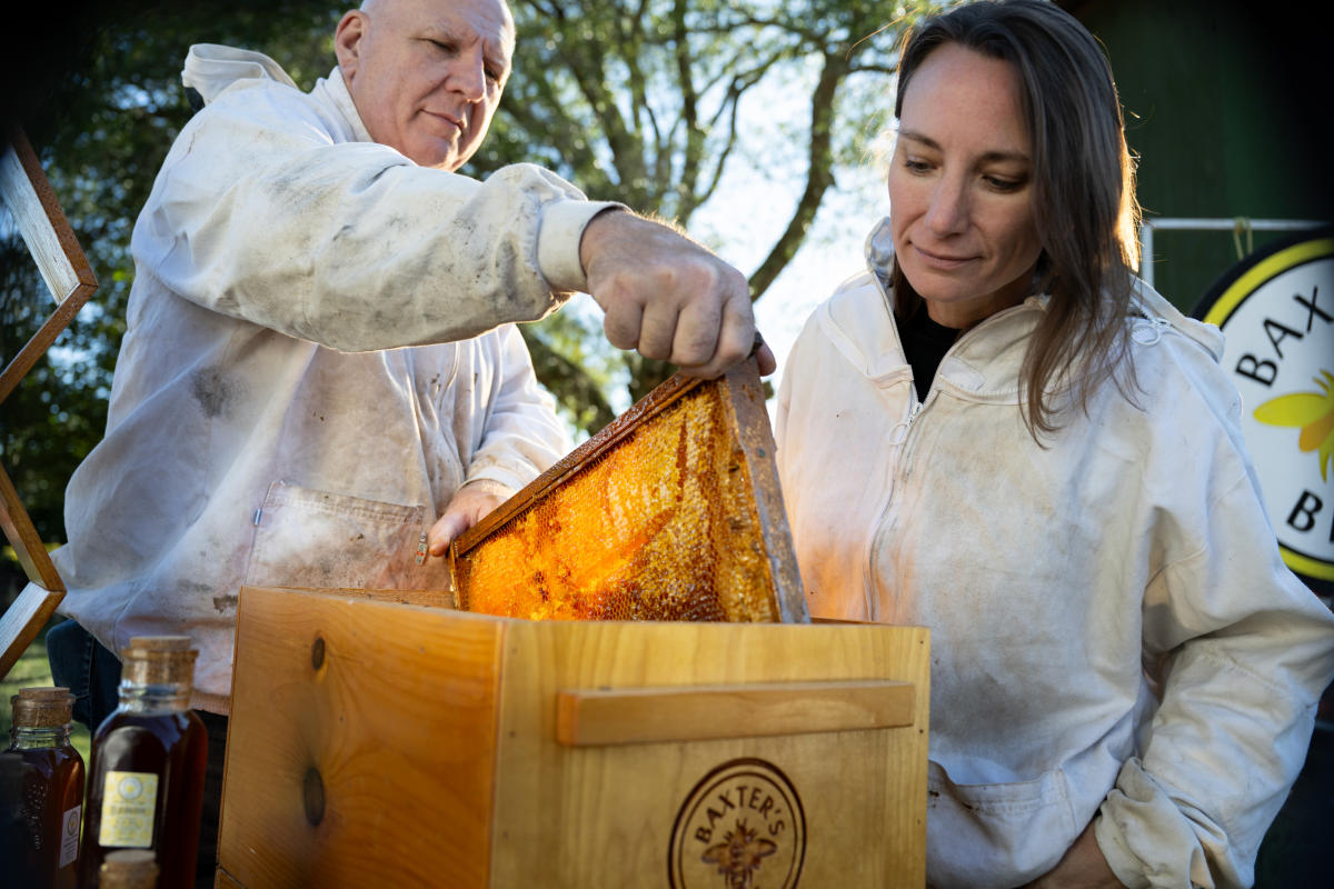 Baxter's Bees