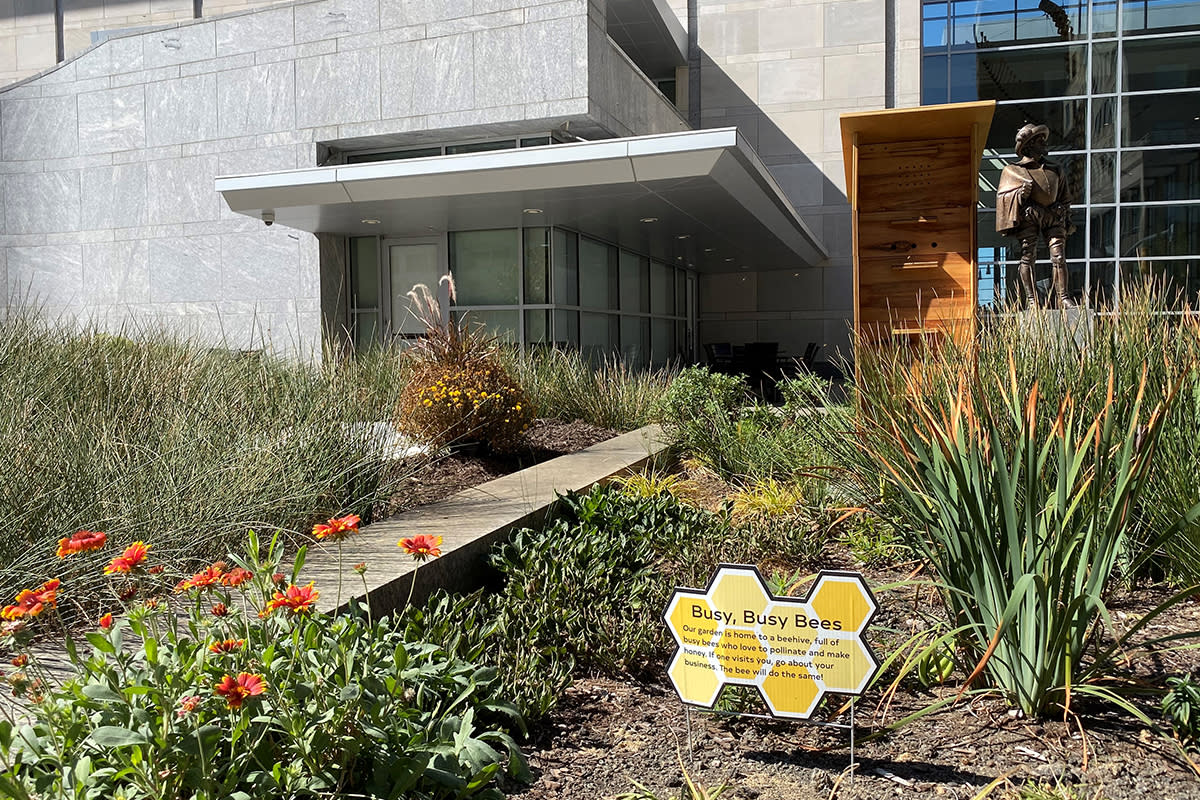 Bees Raleigh Convention Center