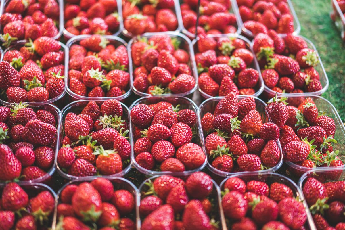 Strawberries farmers' markets
